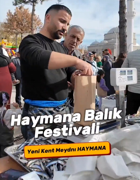 Ekran Görüntüsü (971)