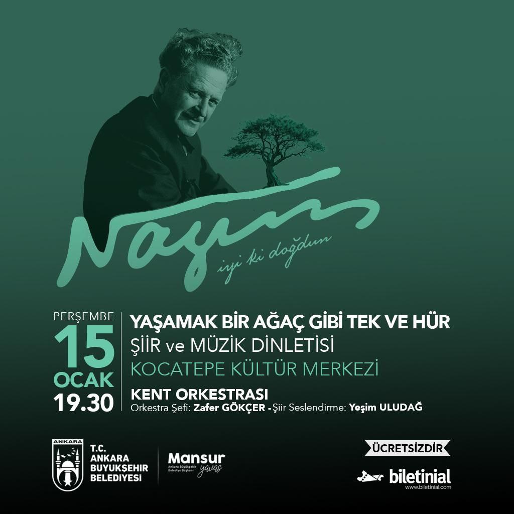 Photo 5994675594257435438 Y