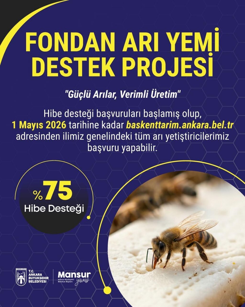 Photo 5940352384041159971 Y