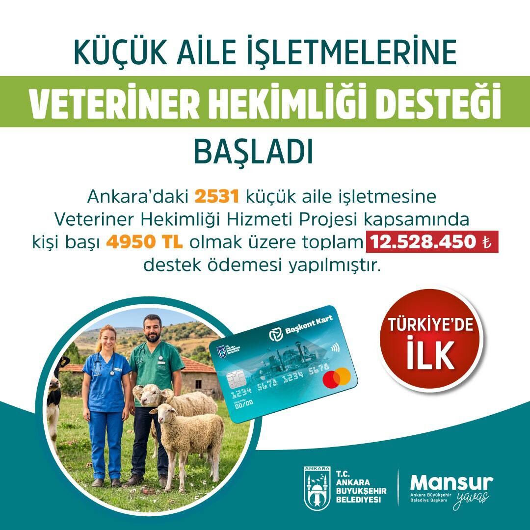Veteriner Dsetek
