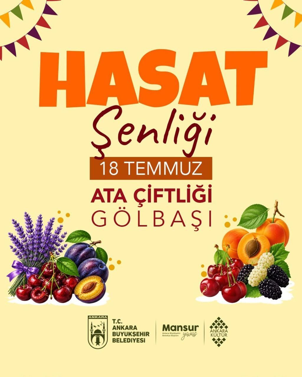 Hasat Şenliği