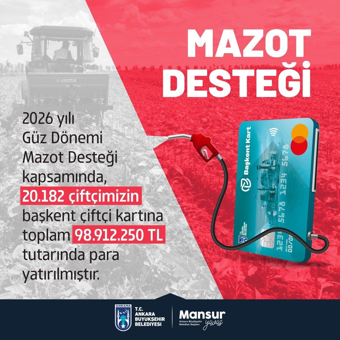 Mazot-2