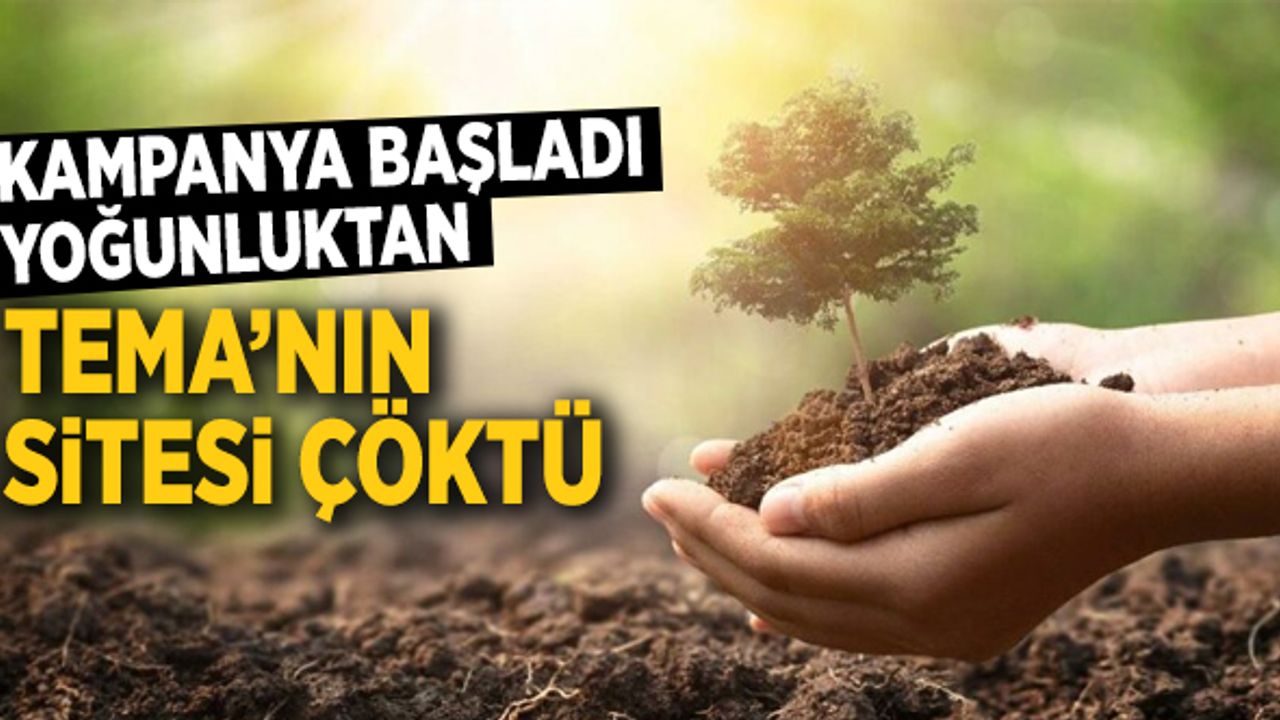 TEMA'nın İnternet Sitesi Yoğunluktan Çöktü