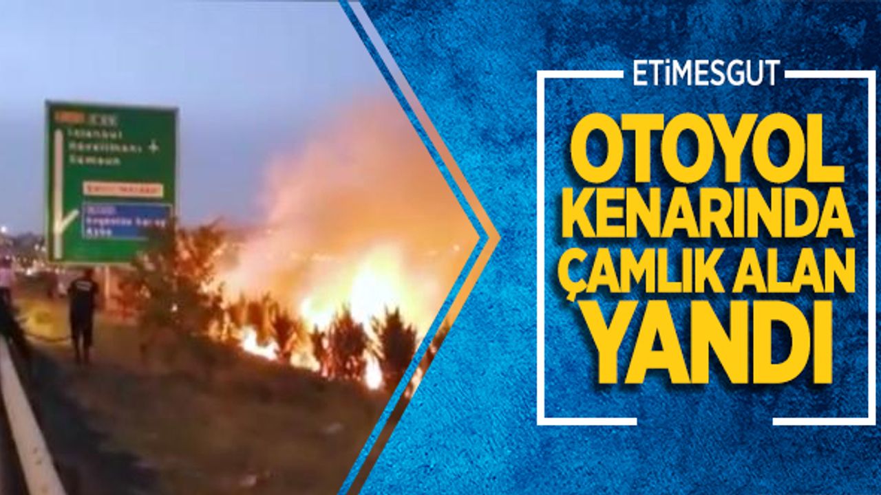 Ankara Çevreyolu Kenarında Çamlık Alan Yandı