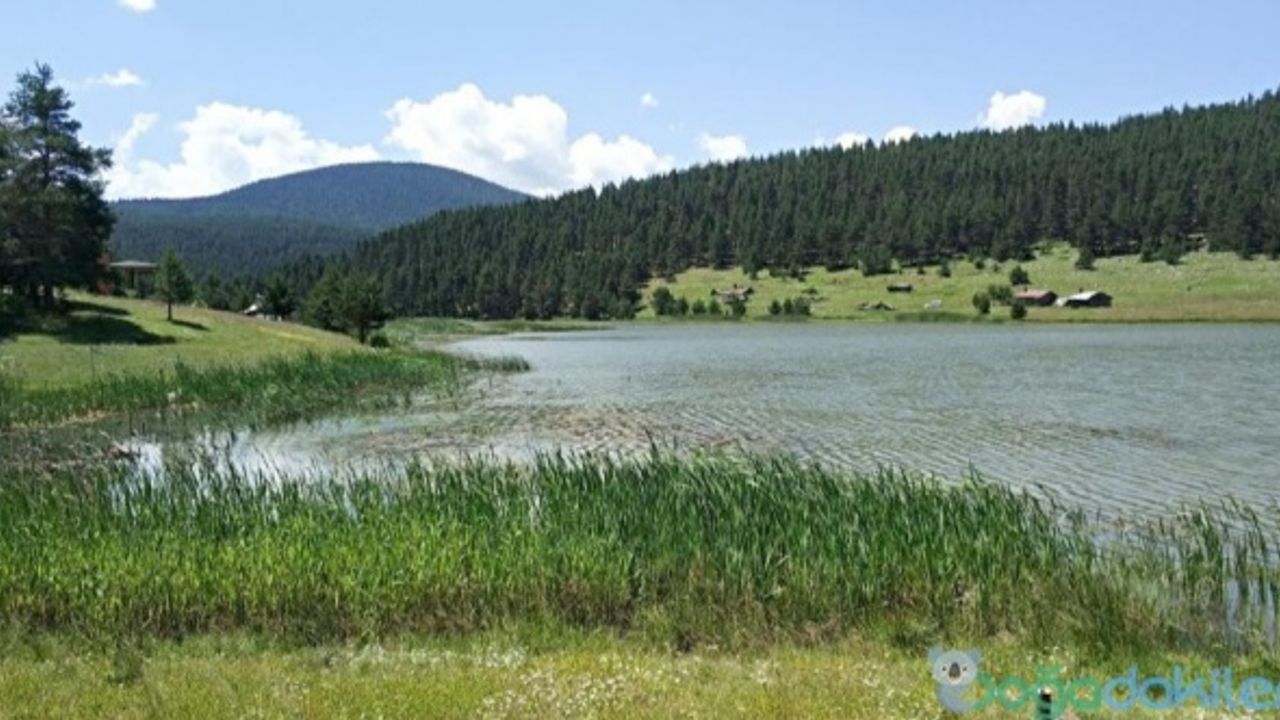 Eğriova Yaylası için Tanıtım Atağı