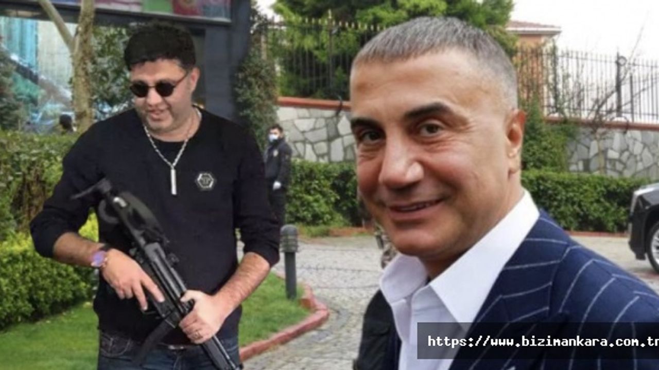 Sedat Peker, Cenk Çelik Cinayeti İle İlgili Ne Dedi?