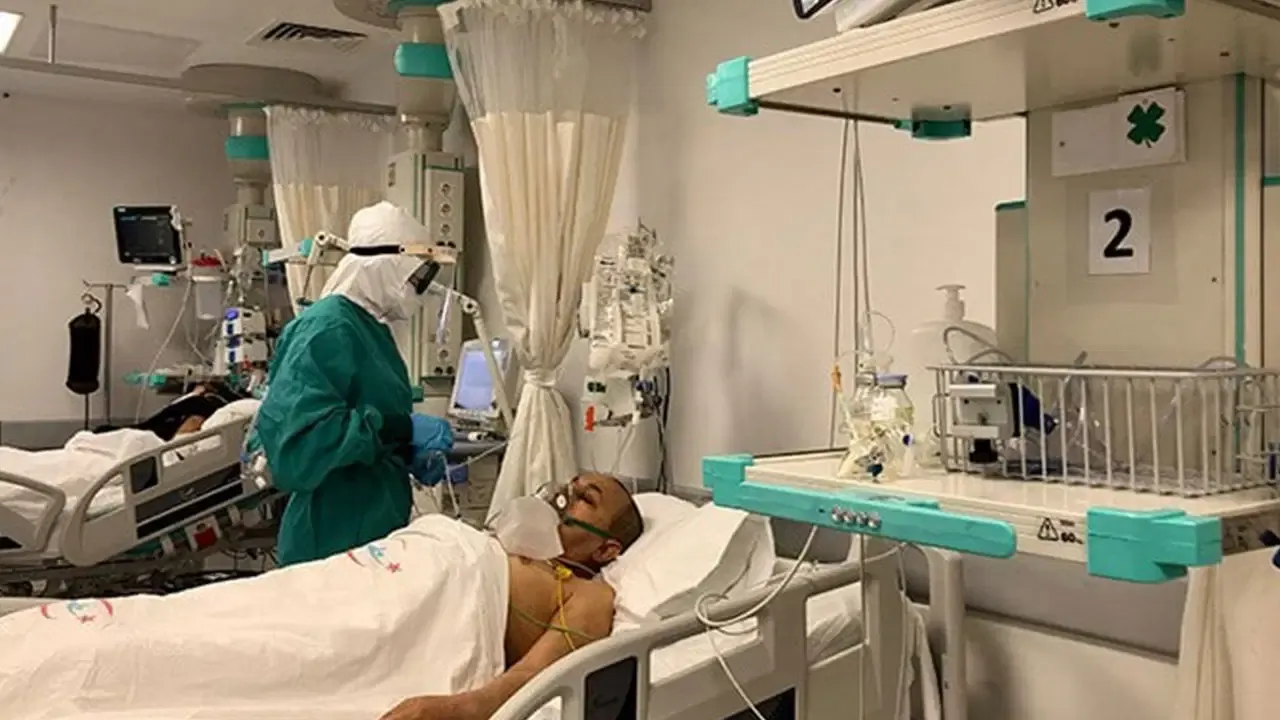 Ankara'dan Sonra Bolu'da Görüldü: 'Deli Dana' Hastalığı Şüphesi!