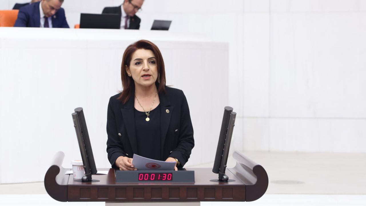 CHP’li Gülcan Kış: "Vatandaş Ev Kirasını Ödemek İçin Bile Bankalardan Borç Çekiyor"