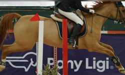 Ankara Pony Amatör Kupası Engel Atlama Yarışları Sona Erdi