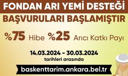 Ankara Büyükşehir Belediyesi'nden Arıcılara Fondan Arı Yemi Desteği