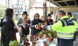 Ankara Büyükşehir Belediyesi'nin Çiçeğim Takas Uygulamasına Başkentlilerden Yoğun İlgi