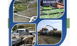 Mansur Yavaş'ın, Ankaralı Çiftçiye Bitkisel Üretim Desteği 800 Milyon TL'ye Yaklaştı