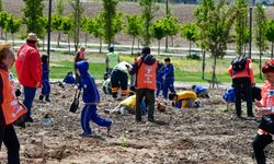 Ankara Büyükşehir Belediyesi ve TEMA Vakfı Bünyesindeki Çocukların Yetiştirdiği Meşe Fideleri BAKAP'ta Toprakla Buluştu