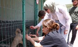 Çankaya'da Öğrenciler, Sahipsiz Sokak Hayvanları Barınağını Ziyaret Etti