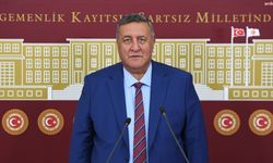 CHP'li Gürer'den Tavukta İhracat Kısıtlaması Değerlendirmesi