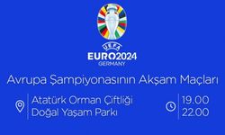 Ankara'da Dev Ekranlarda EURO 2024 Keyfi