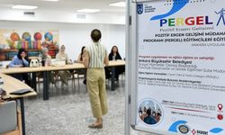 Ankara'da Pozitif Ergen Gelişimi Müdahale Programı Başlıyor