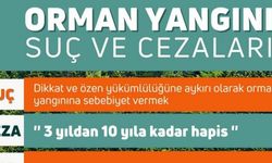 Bakanlıktan, Orman Yangınlarında 'Ceza' Hatırlatması