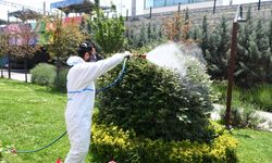 Mamak Belediyesi İlaçlama Çalışmaları Hızlandı