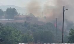 Ankara'da Orman Yangını: Egrekkaya Barajı Yakınlarında Çıkan Yangın Saray Köyüne Ulaştı