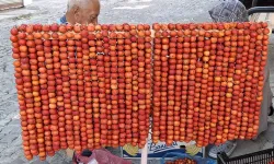 Beypazarı'nda Alıç Sezonu Başladı