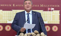 TBMM'de CHP'li Gürer'den Patatesli Açıklama