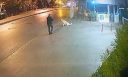 Köpeğe Silah Doğrultan Şüphelinin 9 Ayrı Suçtan Kaydı Çıktı