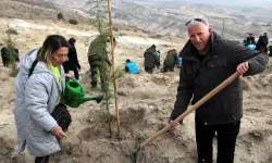 Beypazarı'nda Fidan Dikimi Etkinliği