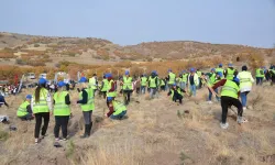 Kahramankazan'da Ağaçlandırma Etkinliği