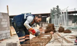 Mamak'ta Sokak Hayvanları Bakım Evi Yenileniyor