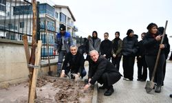 Mamak Belediyesi'nden Yeşil Adım