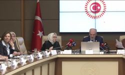 Ankara'da 'Kadına Karşı Şiddet' Araştırması