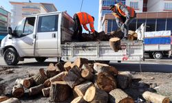 Yenimahalle'de Budanan Dallar İhtiyaç Sahiplerine Yakıt Oluyor