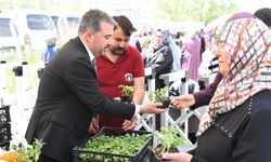 Pursaklar’da Yerli Tohuma Destek Sofralara Bereket Geliyor