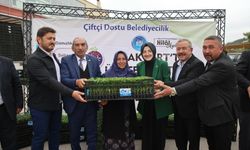 Akyurt'ta 1 Milyon Sebze Fidesi Dağıtımı Tamamlandı