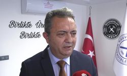 Nallıhan'daki Çayırhan Termik Santrali'nin Özelleştirilmesine Dava