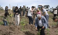 Kadına Şiddete Dikkat: 2 Bin Fidan Dikildi
