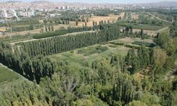AOÇ’yi Yıllardır Parsel Parsel Kemiriyorlar: Adını da Sattılar