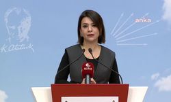 CHP'li Gamze Taşcıer: 3 Çocuklu Bir Ailenin Aylık Mutfak Masrafı 51 Kat Arttı
