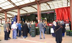 Kahramankazan Belediyesi'nden Çiftçiye Sebze Fidesi Desteği