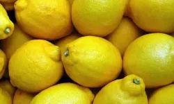 Limon Fiyatlarına Don Vurdu Fiyatı Uçtu
