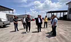 Pursaklar'da Kurban Bayramı Hazırlıkları Sürüyor