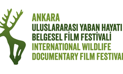 Ankara Uluslararası Yaban Hayatı Belgesel Film Festivali İçin Geri Sayım Başladı