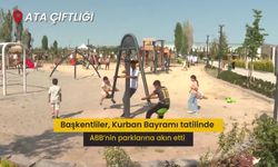 Ankara Büyükşehir Belediyesi'nin Rekreasyon Alanlarına Vatandaştan Tam Not