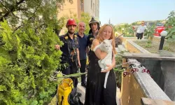 Çankaya'da Mahsur Kedi Kurtarıldı