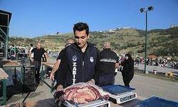 Çankaya Belediyesi'nden Mühye Kesim Alanında Tam Kapasite Hizmet
