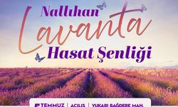 Ankara Büyükşehir Belediyesi'nden Lavanta Hasat Şenliği