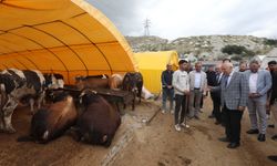 Fethi Yaşar, Yakacık Kurban Alanı'nı Ziyaret Etti