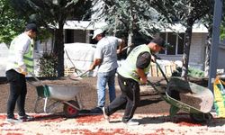 Pursaklar'da Parklar Yeşilleniyor