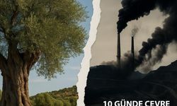 Ankara Barosu’ndan Madencilik Yasasına Tepki